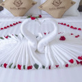 Sata Hotel
