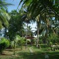 Coconut Island