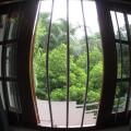 Villa Goodwill Paradise