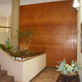 Image 20