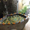 The Sankara Resort