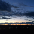 Image 14