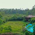 Jetwing Kurulubedda