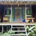 Bambu Indah