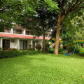 Image 13
