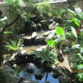 Image 31