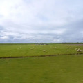 Image 24