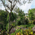 Maya Ubud Resort & Spa