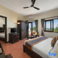 Sea Lion Beach Resort & Spa