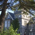 Image 13