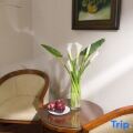 Aristo Saigon Hotel