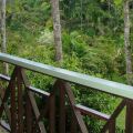 Sepilok Jungle Resort
