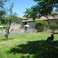 Image 15