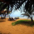 Temple Tree Resort & Spa