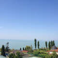Image 12