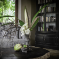 Eraeliya Villas & Gardens