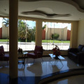 Image 15