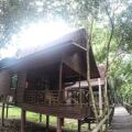 Bilit Rainforest Lodge