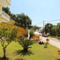 Image 31