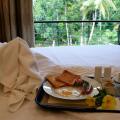 Nature Trails Boutique Hotel