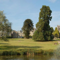 Image 26
