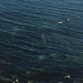 Image 17