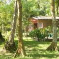 Kumbukgahawatta Hotel