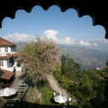 Image 10