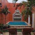 Image 15