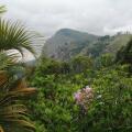 Tea Garden Holiday Inn