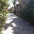 Image 15