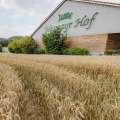 Image 15