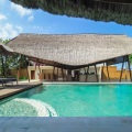 The Samata