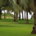 Novotel Goa Dona Sylvia Hotel
