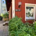 Image 14