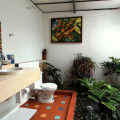 Image 30