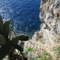 Image 32