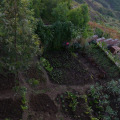Image 16