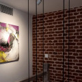 Image 13