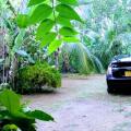 Mahawewa Nature Resort