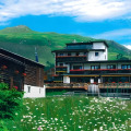 Image 12