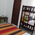 Alex Home Stay
