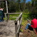 Image 15