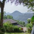 Villa Shenandoah
