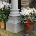 Image 14