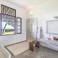 The Frangipani Tree By Edwards Collection
