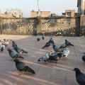 Image 12