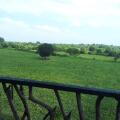 Yala Eco Tree House