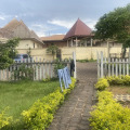 Image 14