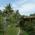 Coconut Island